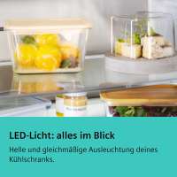 Siemens KI81RSNE0 iQ100 Einbau-Kühlschrank 177.2 x 54.1 cm Schleppscharnier